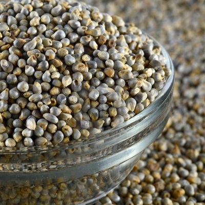 Pearl Millet